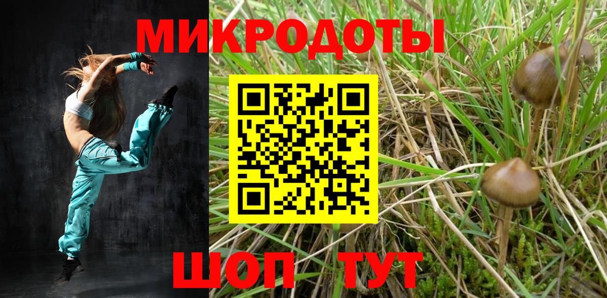Галлюциногенные грибы мицелий Междуреченск